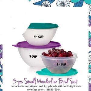 Tupperware 3pc wonderlier set